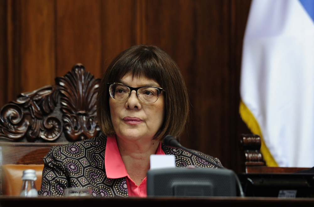 Gojković: Nećemo danas raspravljati o mojoj smeni