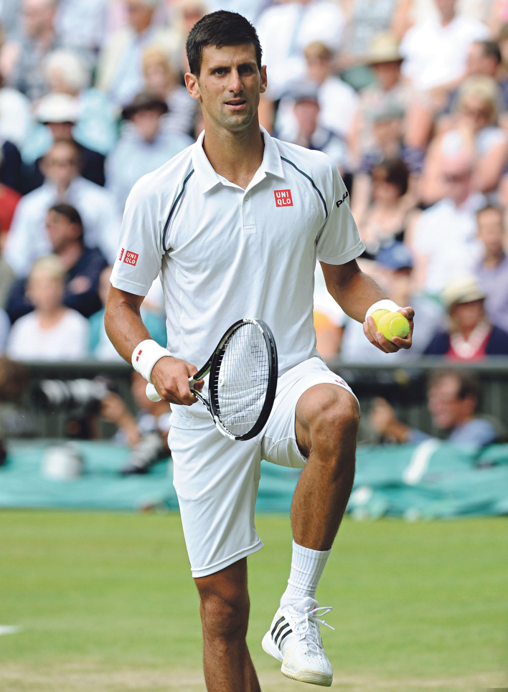 Nole raznežio svet!