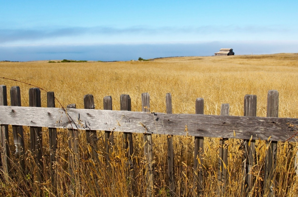 Šteta od suše 600 miliona evra!