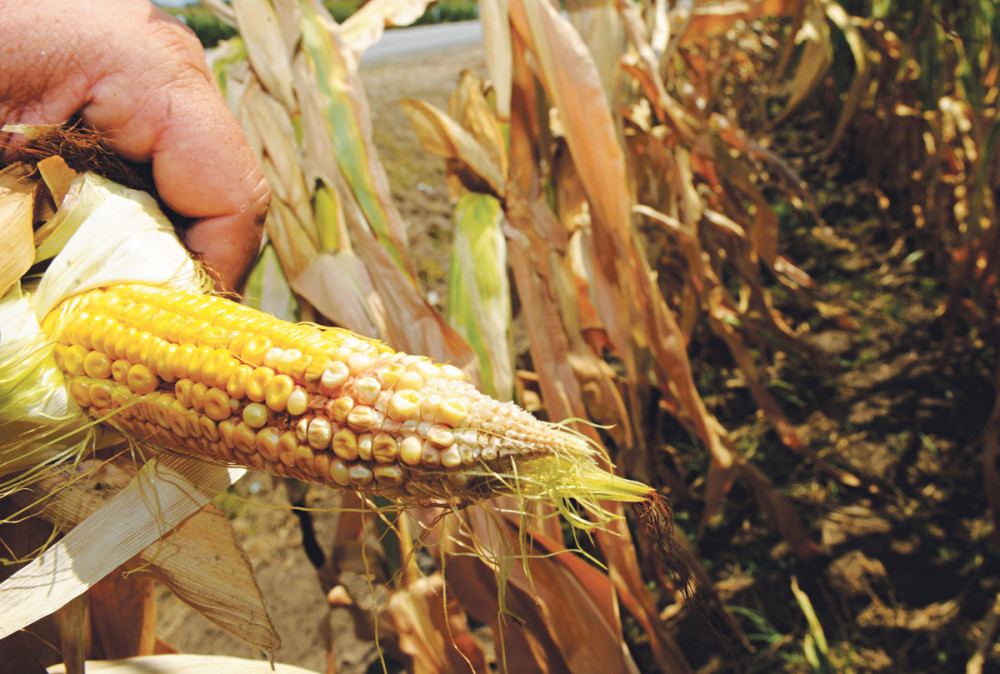 Nikoli se zaglavila ruka u mašini za branje, šiknula je krv, uspeo je samo da izvuče mobilni iz džepa!