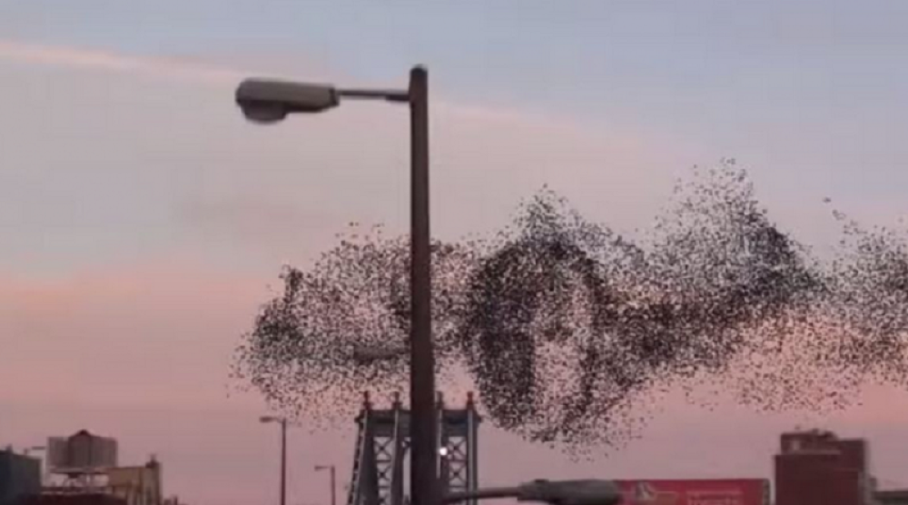 Putin se ukazao nad Njujorkom! (VIDEO)