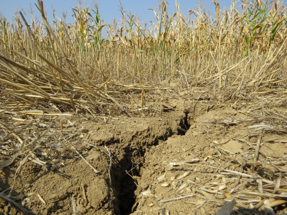 Ovo su najekstremnije vremenske prilike ikada!