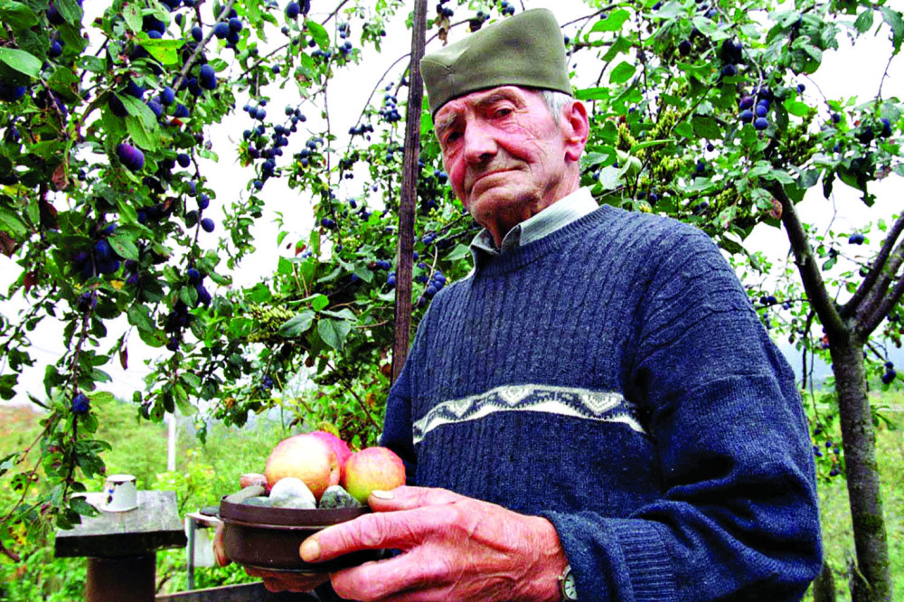 Kruševac će opet biti prestonica!
