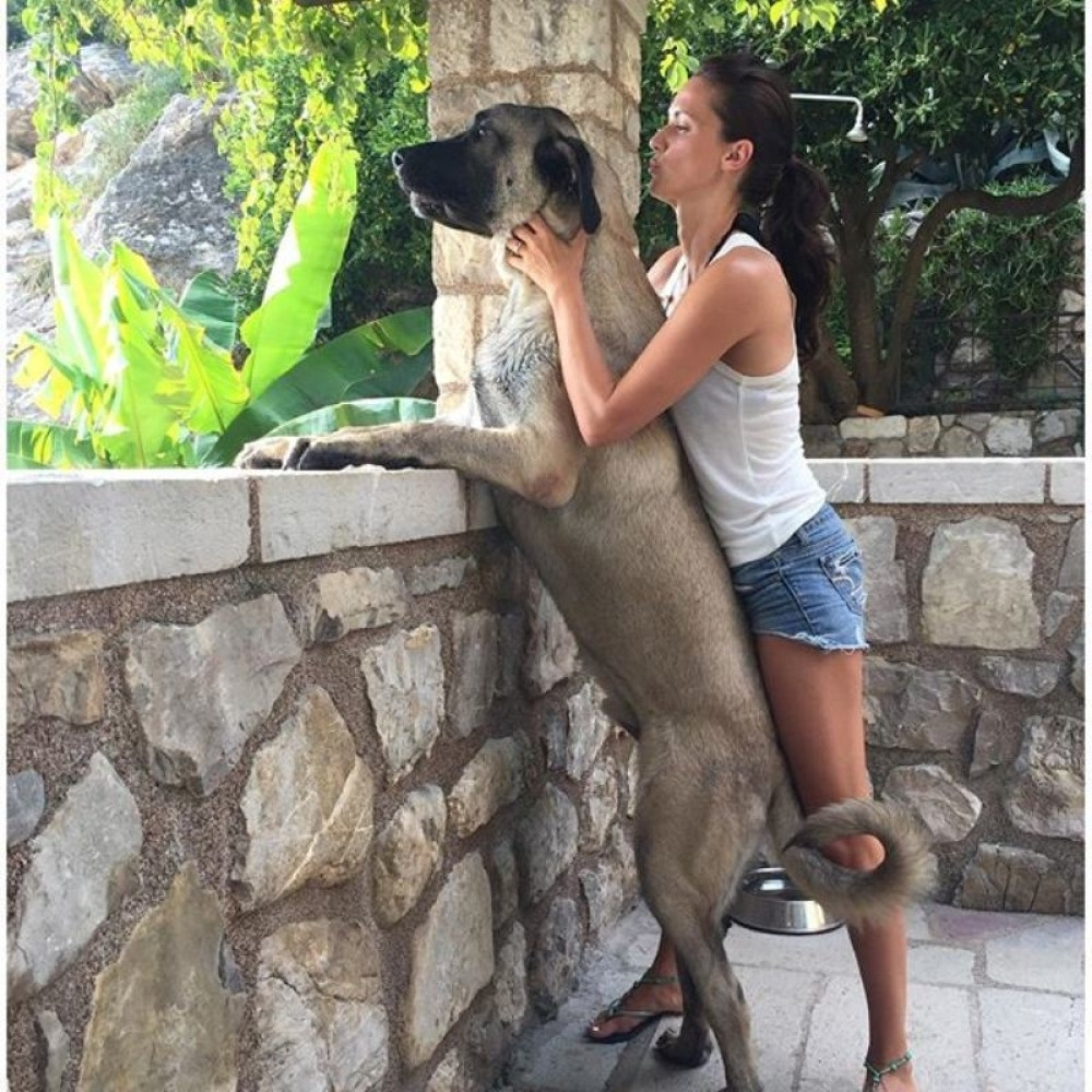 Bojana i Nikola imaju najslađe drugare (FOTO)