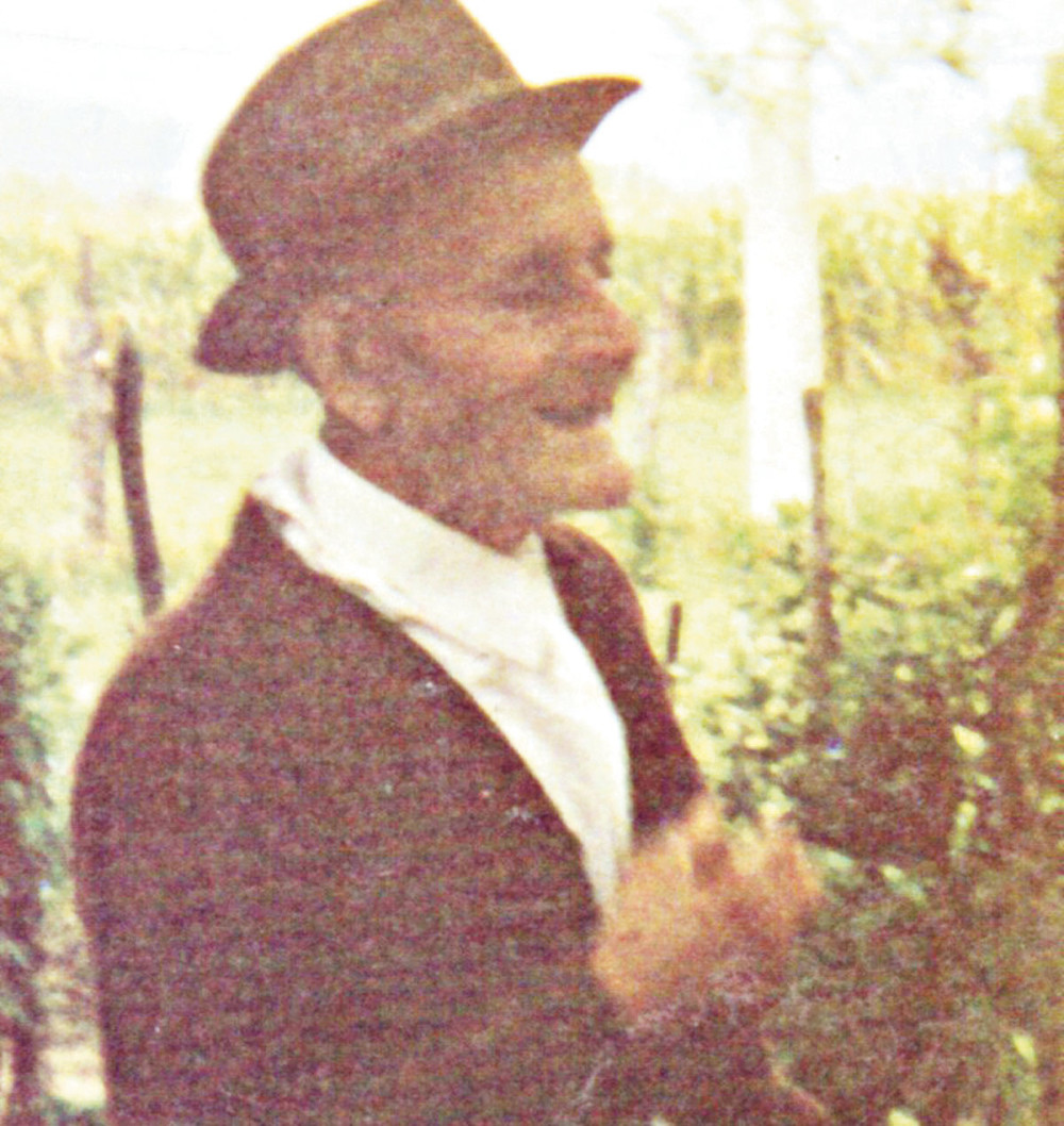 Nemci će ujediniti Srbe