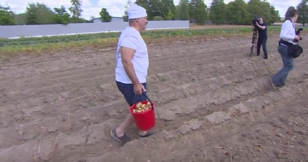 Predsednik skupljao krompir (VIDEO)