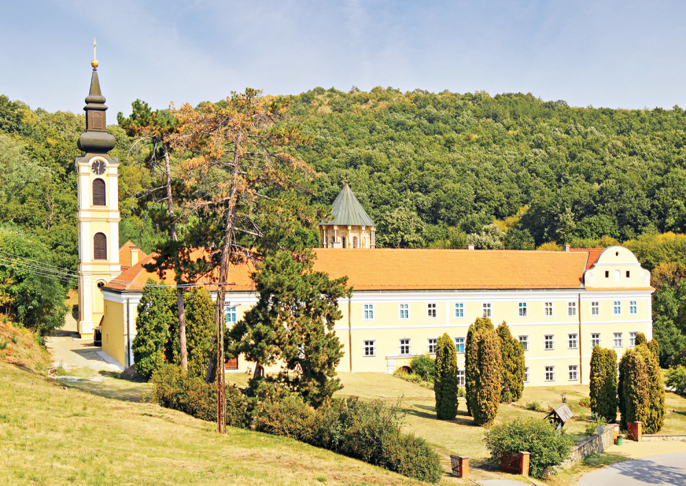 Spasonosno drvo u Novom Hopovu!