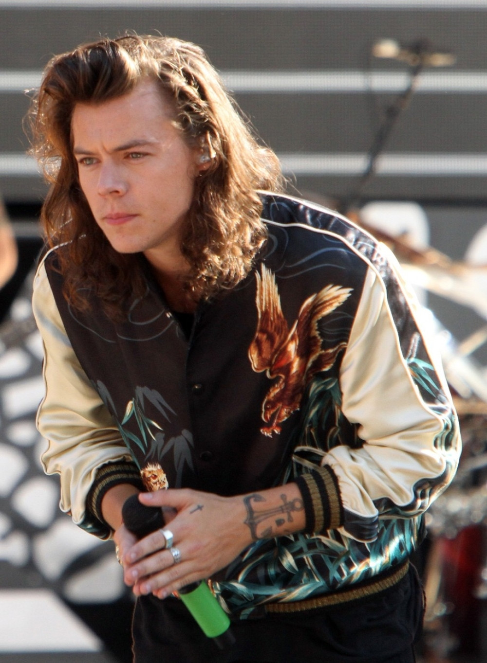 Hari Stajls se prosuo po bini (VIDEO)