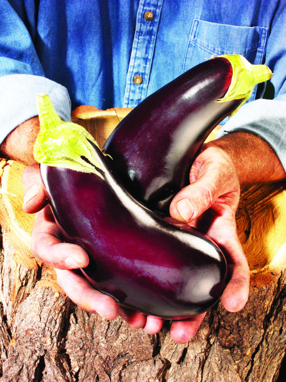 Plavi patlidžan čuva stas