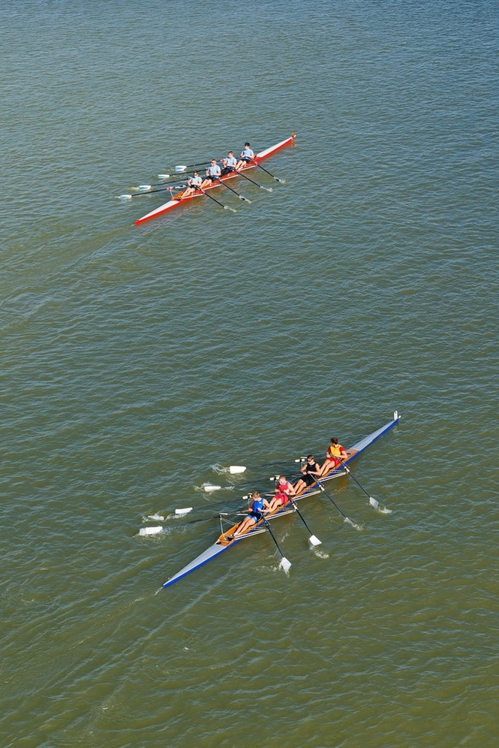 Nišović: Najbolja godina u istoriji srpskog kajaka