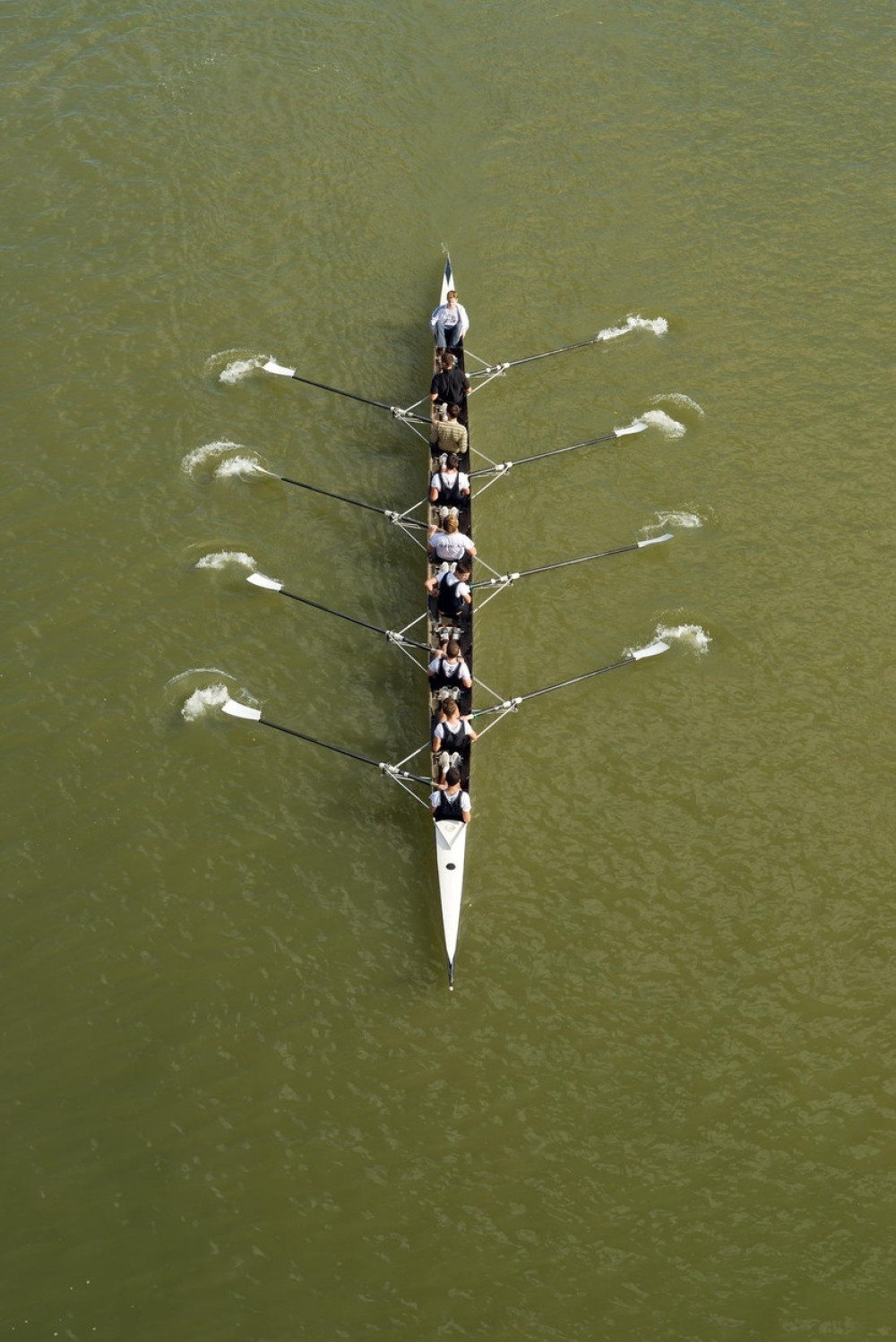 Ženski četverac bez A finala