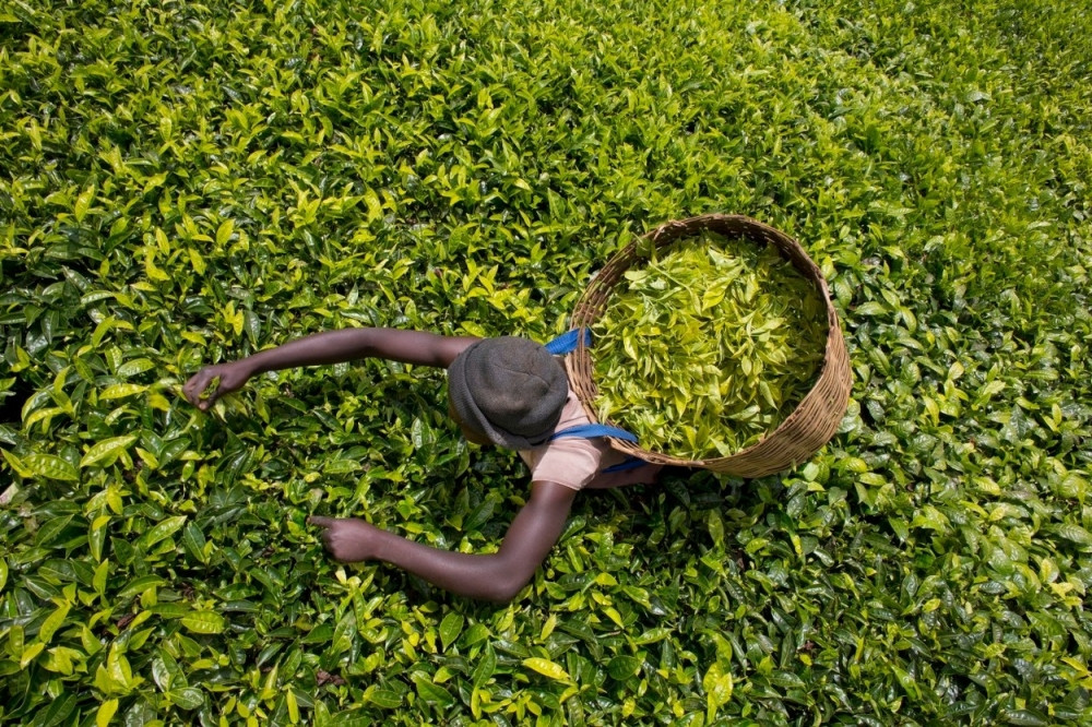 75.000 Indijaca se bori za 30 radnih mesta