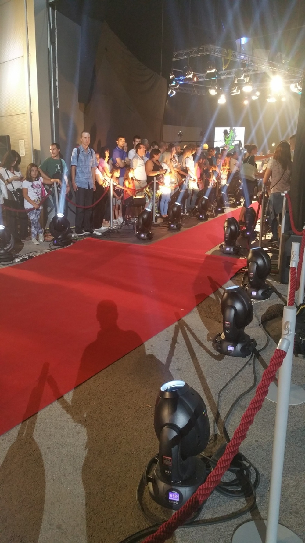 Naša voditeljka doživela peh na crvenom tepihu (VIDEO)