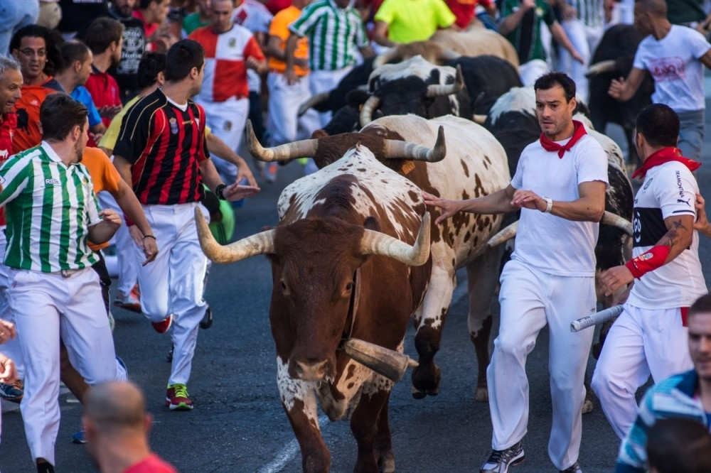 Konačno zabranjeno ubijanje bikova kopljem!