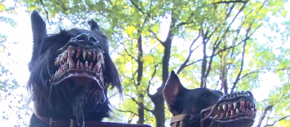 Kada vidite ove zveri - bežite! (VIDEO)