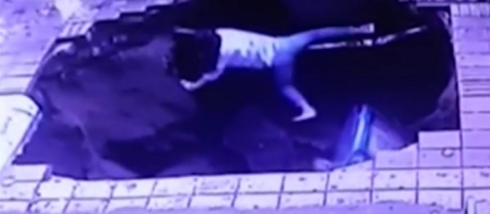 Pešaci bukvalno propali u zemlju