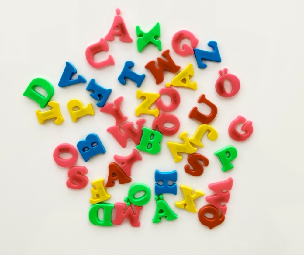 Klajn: Bosanski jezik ne postoji