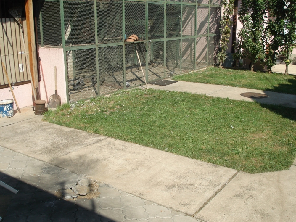 Kašikaru bacili u dvorište