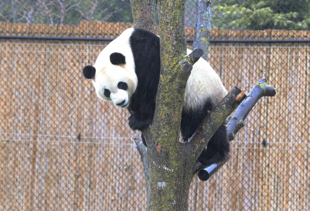 Može li slađe od ovoga? (VIDEO)