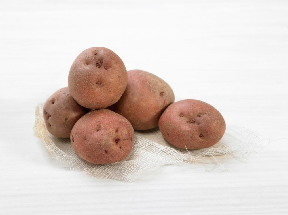 Srpski seljak će da gaji krompir iz kosmosa!