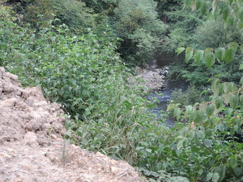 Velika opasnost vreba u ovom srpskom gradu. Ljudi ih sve više viđaju i traže SPAS! Ne znaju kako da se odbrane