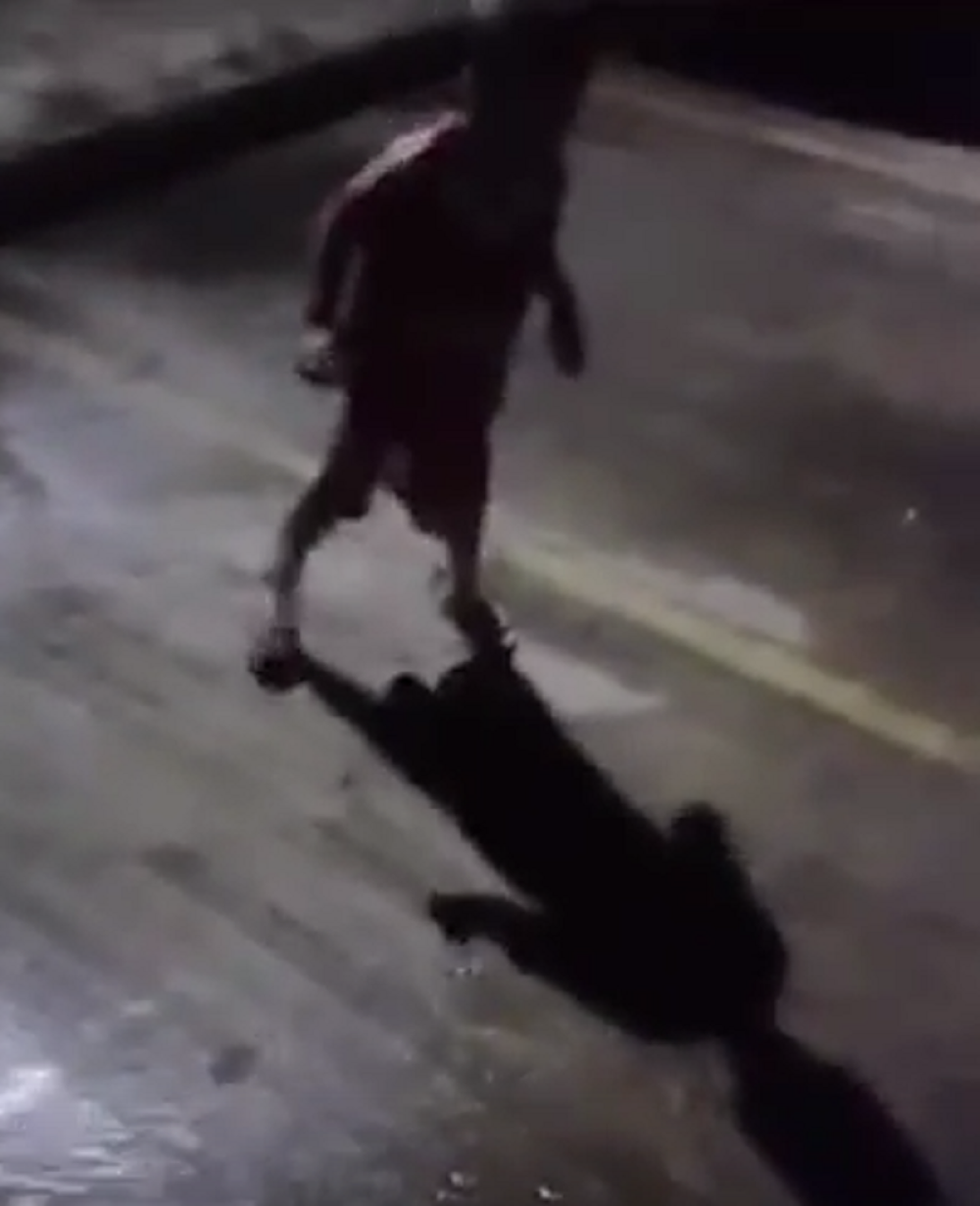 Dečak vrišti jer ga juri senka! (VIDEO)