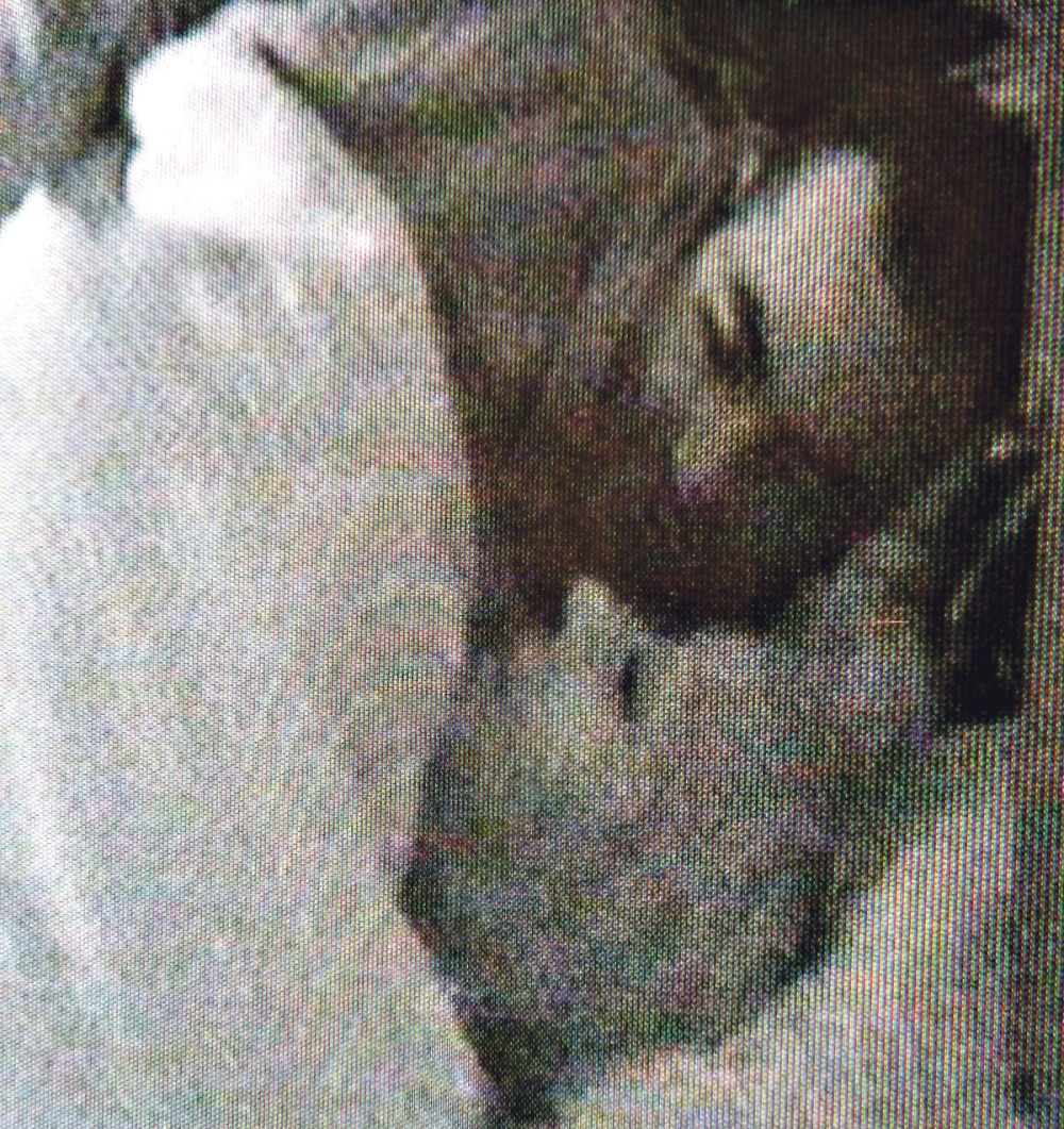 Zorica se vaćarila sa farmerom!