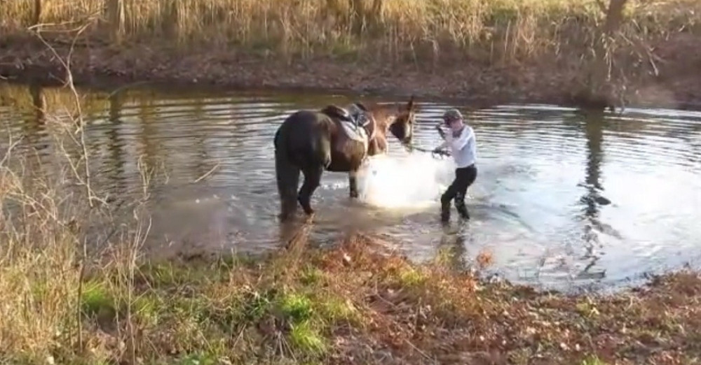 Konj se prvo plašio vode, a onda je napravio šou! (VIDEO)