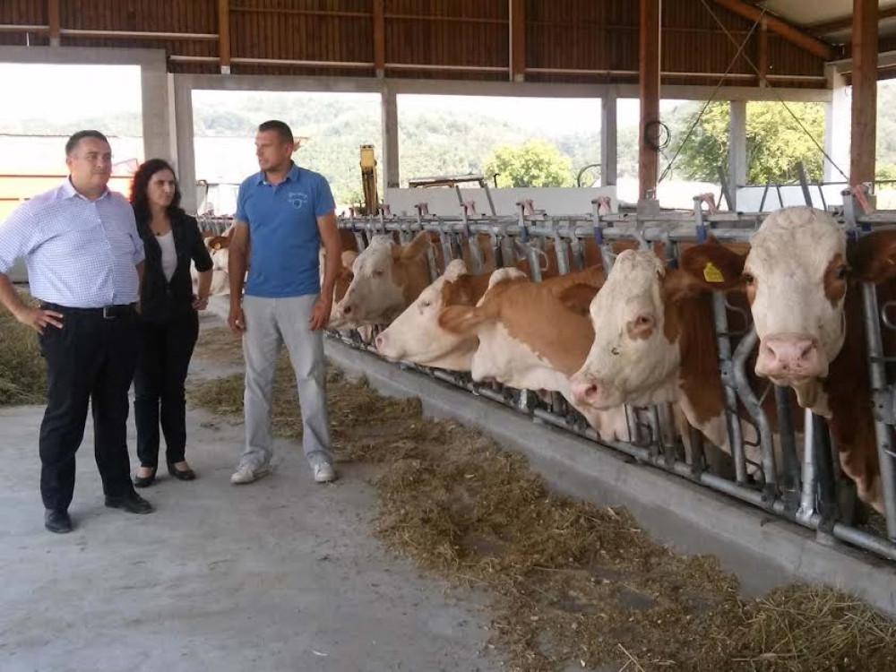 Za nagradu dobio asfaltni put do farme!