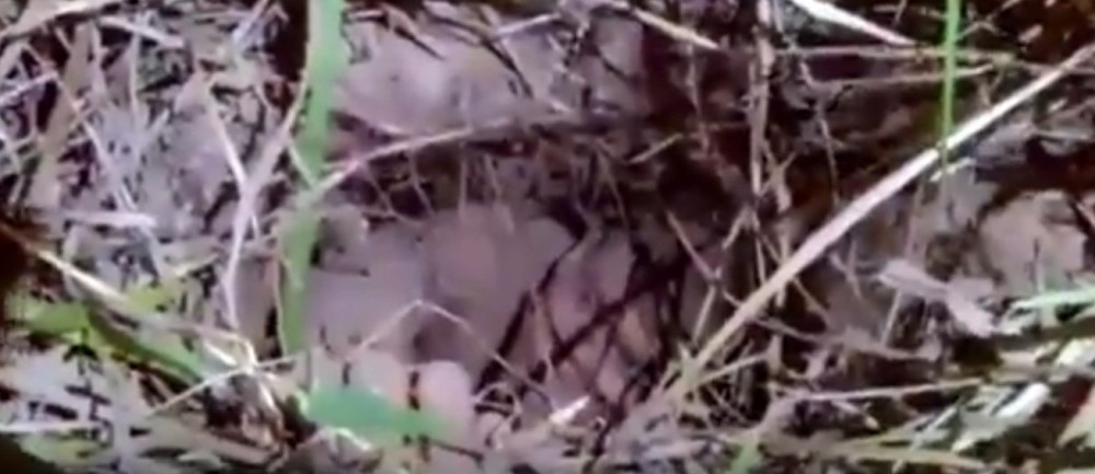 Zaglavio se u tunelu dok je bežao iz zatvora (VIDEO)