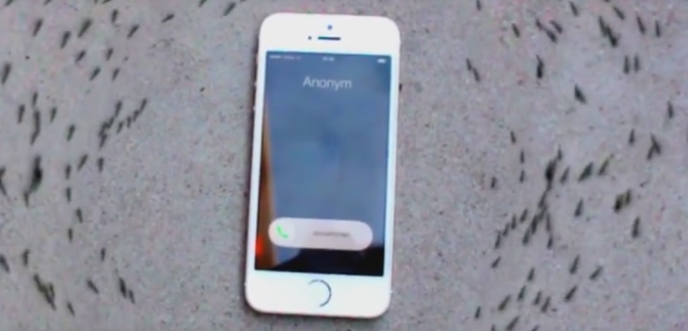 Mravi kruže oko “ajfona” koji zvoni!