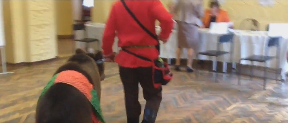 I medved glasao, ali ne u Medveđi