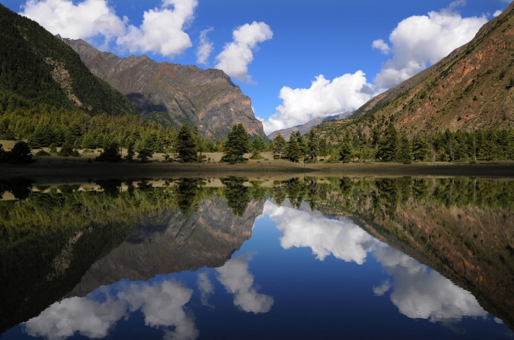 Ne znaju za rak, umor, bolest, a u ovome je "caka"!