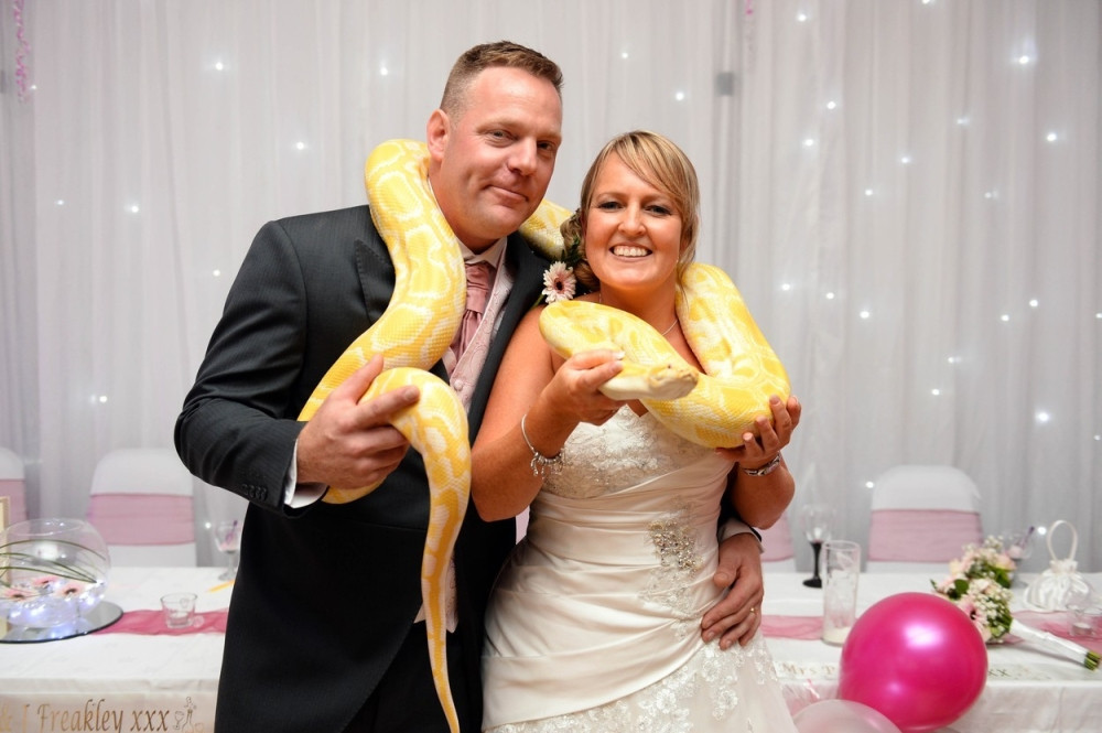 Među svatovima 30 divljih životinja!