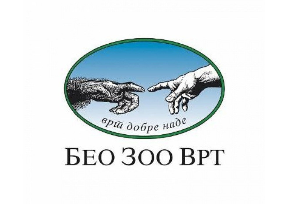 Isprebijali se zbog ženske (VIDEO)