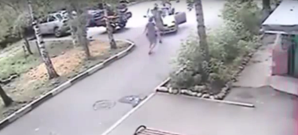 Sibirski Čak Noris sprečio krađu krompira (VIDEO)