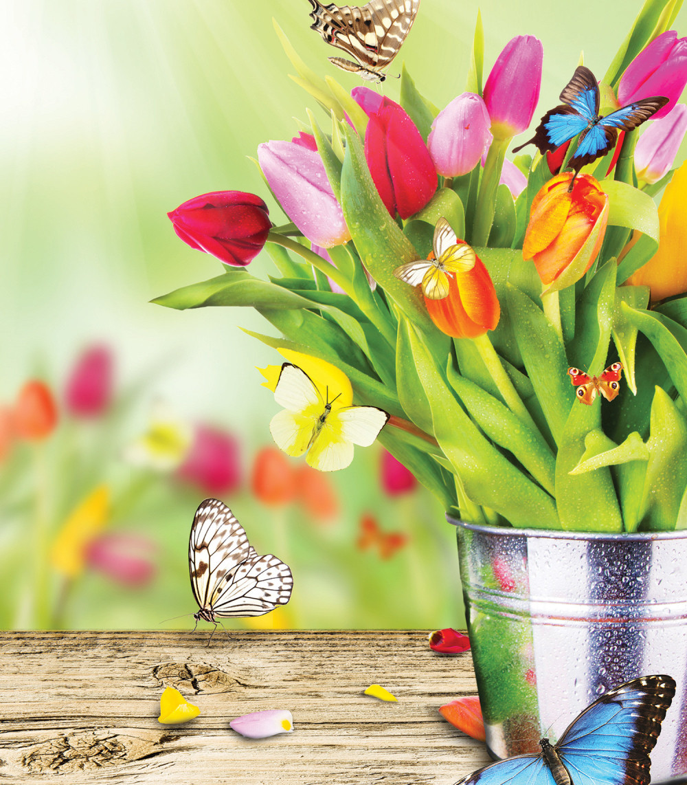 Ulepšajte svoj život duginim bojama