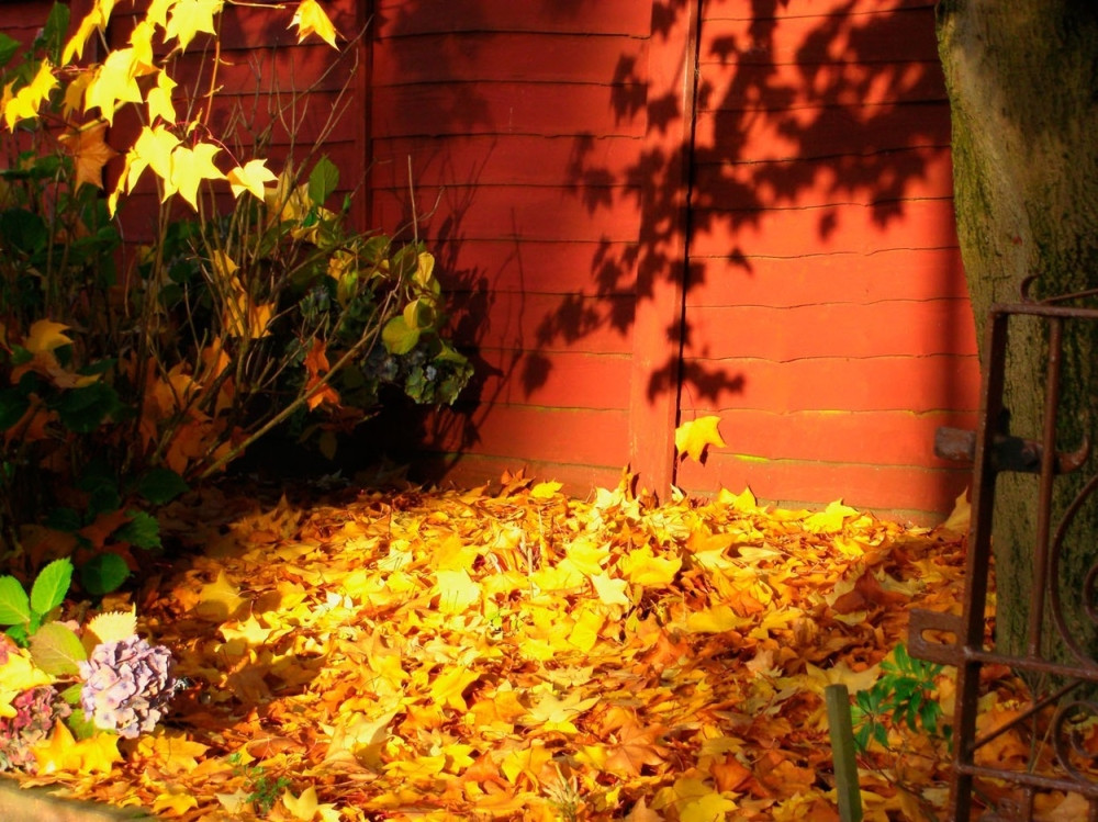 Ove stvari ne smeju čekati zimu