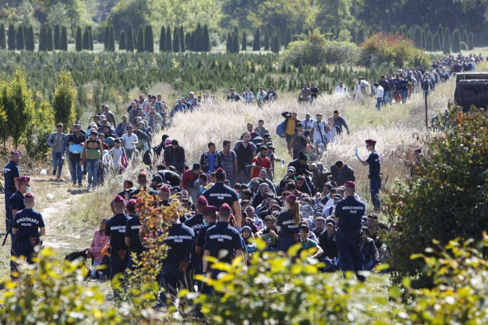 Migrantkinja se porodila u šumi