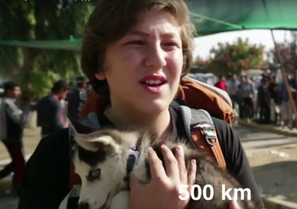 Dečak beži iz Sirije noseći kuče (VIDEO)