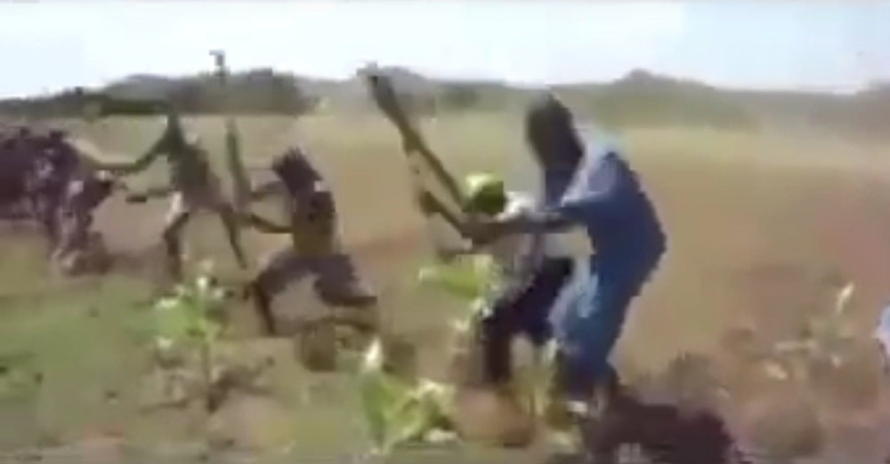 Da li i vi ovoliko volite svoj posao? (VIDEO)