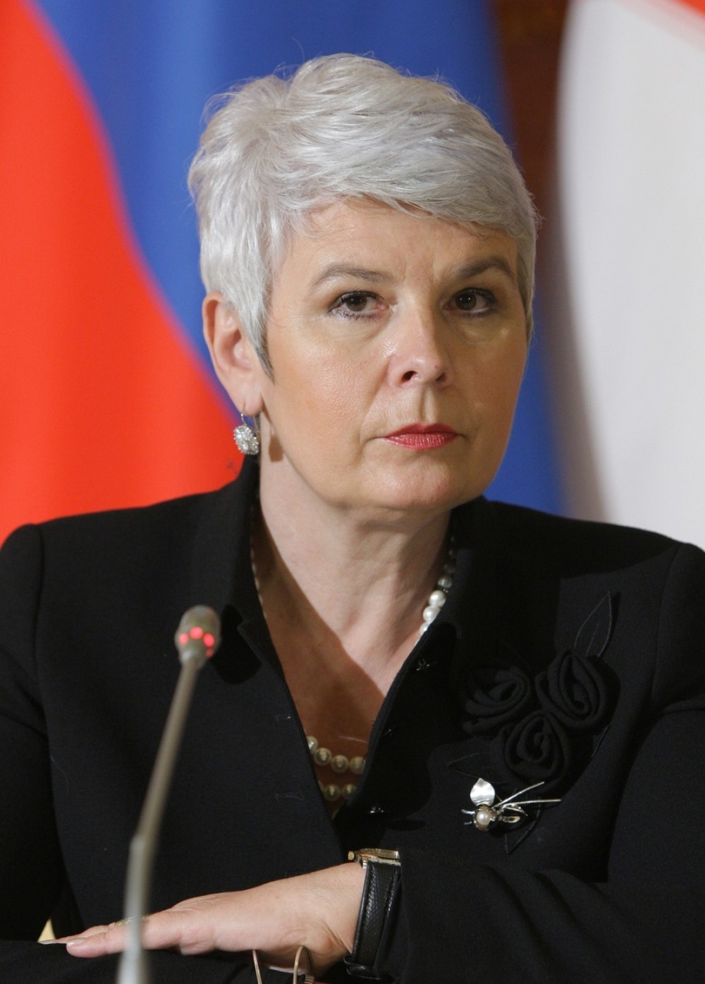 Posle Pernara Boško šuruje i sa Jadrankom Kosor!