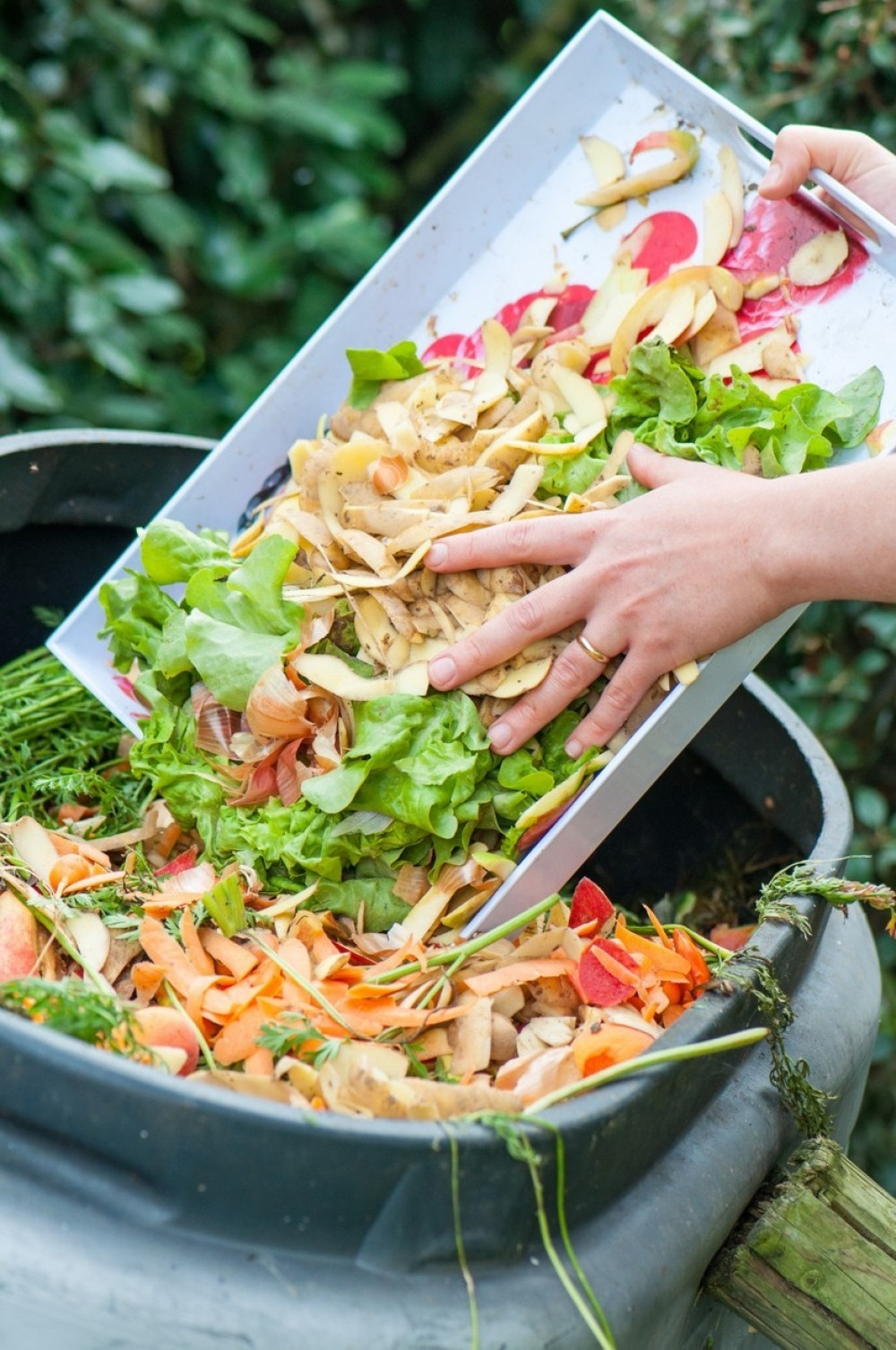 Nek mozak radi kao sat