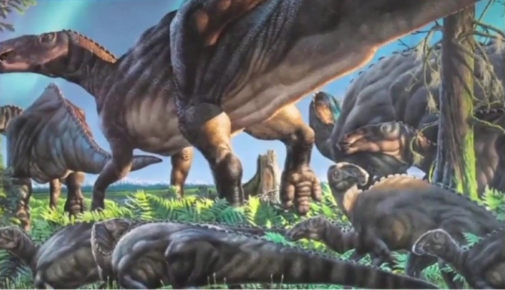 Do sada neviđena vrsta dinosaurusa pronađena na Aljasci! (VIDEO)