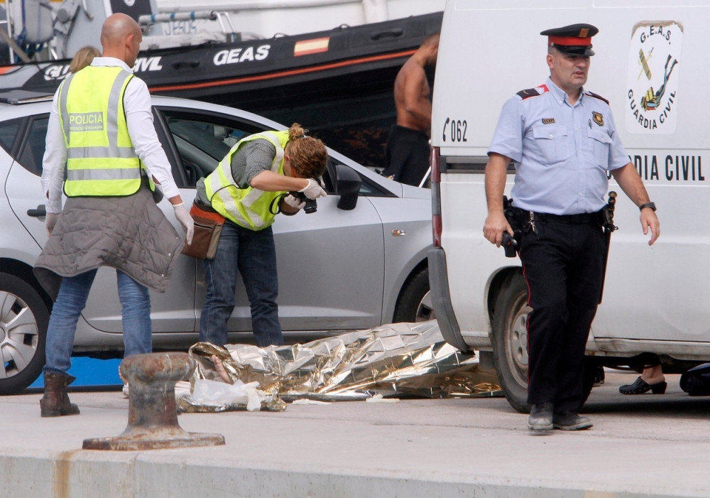 Tela plutala po površini mora (FOTO)