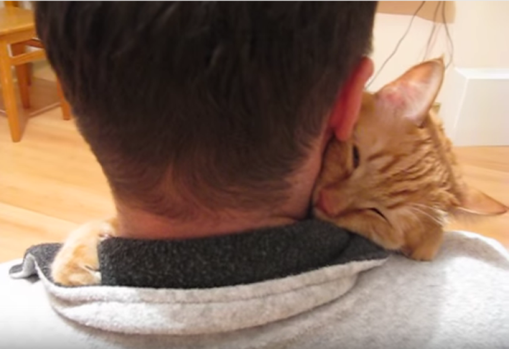 Maca ne može da se odvoji od vlasnika (VIDEO)