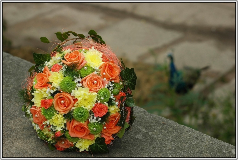 Pogledajte kako neženje reaguju na bacanje bidermajera (SMEHOTRESAN VIDEO)