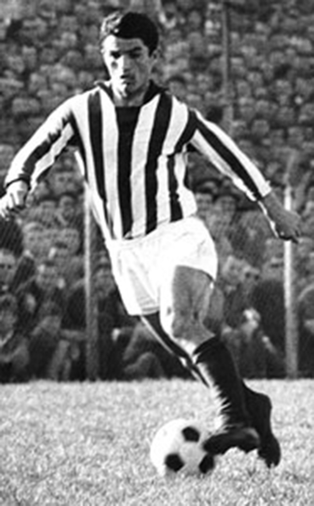 ON JE KLEČAO pred Rajkom Mitićem, a KARASI JE ŠEKIJU ČISTIO KOPAČKE još od omladinaca (VIDEO)