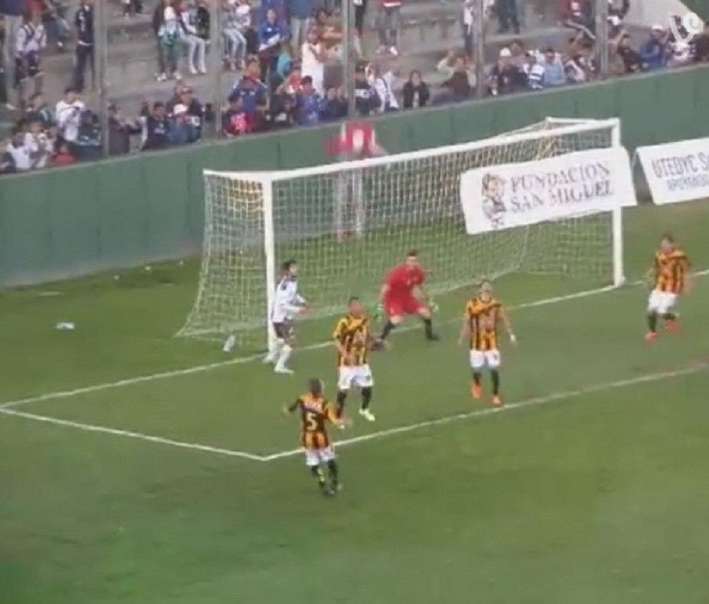 Brazilski navijač pao s ograde iza gola! (VIDEO)