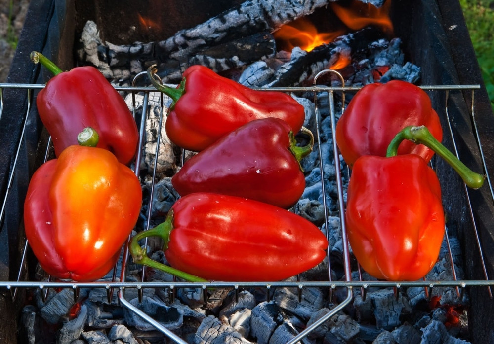 Ako komšija prijavi, stiže kazna! Sezona pečenja paprika na terasi ili u parku može skupo da vas košta